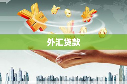 南浔外汇贷款