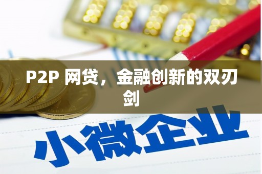 南浔P2P 网贷，金融创新的双刃剑