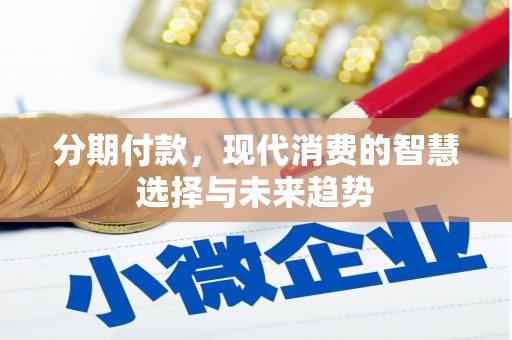 南浔分期付款，现代消费的智慧选择与未来趋势
