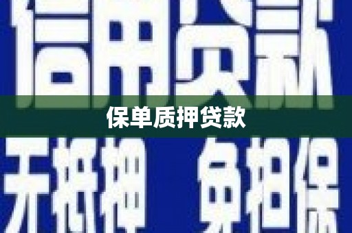 南浔保单质押贷款