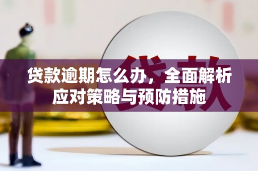 南浔贷款逾期怎么办，全面解析应对策略与预防措施