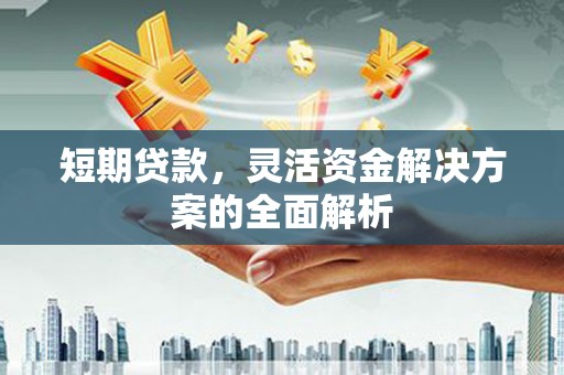 南浔短期贷款，灵活资金解决方案的全面解析