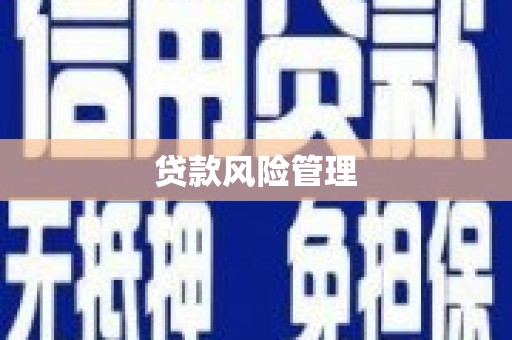 南浔贷款风险管理