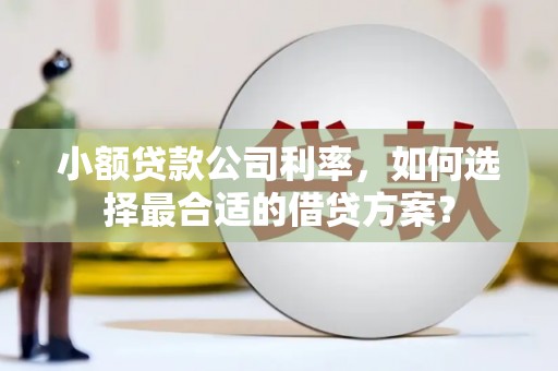 南浔小额贷款公司利率，如何选择最合适的借贷方案？
