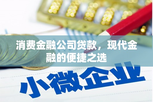 南浔消费金融公司贷款，现代金融的便捷之选