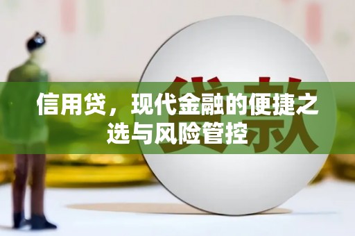 南浔信用贷，现代金融的便捷之选与风险管控