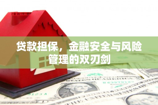 南浔贷款担保，金融安全与风险管理的双刃剑
