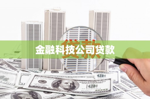 南浔金融科技公司贷款