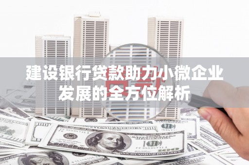南浔建设银行贷款助力小微企业发展的全方位解析