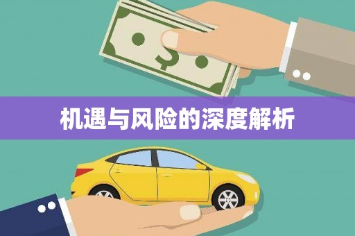 南浔机遇与风险的深度解析