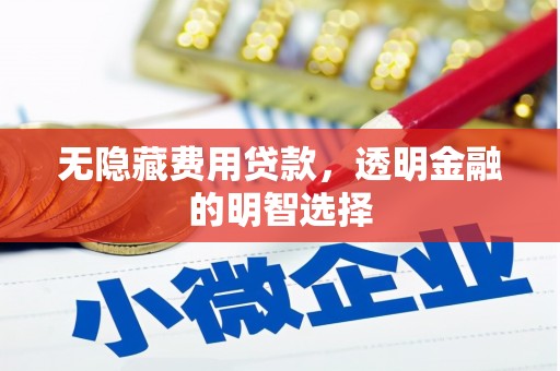 南浔无隐藏费用贷款，透明金融的明智选择