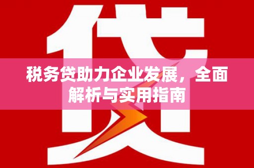 南浔税务贷助力企业发展，全面解析与实用指南