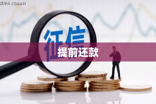 南浔提前还款