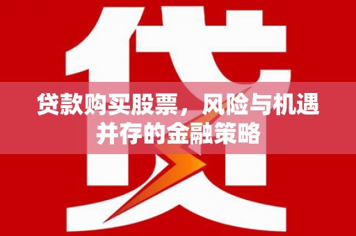 南浔贷款购买股票，风险与机遇并存的金融策略