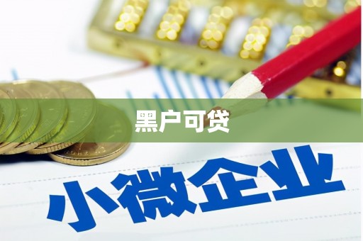 南浔黑户可贷