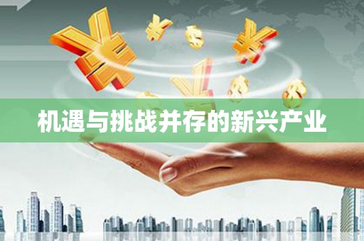 南浔机遇与挑战并存的新兴产业