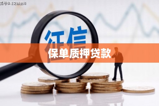 南浔保单质押贷款