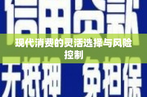 南浔现代消费的灵活选择与风险控制