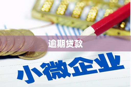南浔逾期贷款