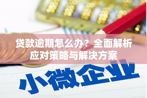 南浔贷款逾期怎么办？全面解析应对策略与解决方案