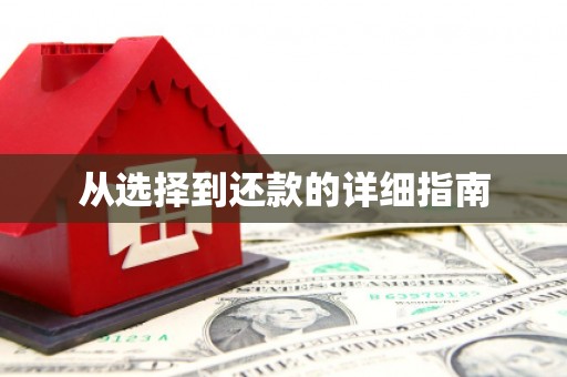 南浔从选择到还款的详细指南