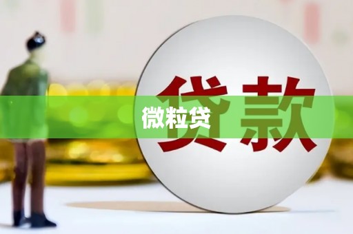 南浔微粒贷
