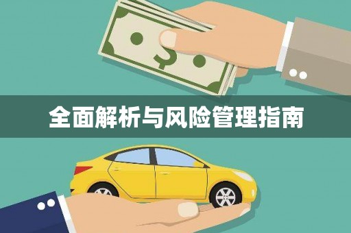 南浔全面解析与风险管理指南