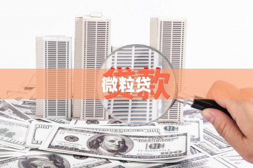 南浔微粒贷