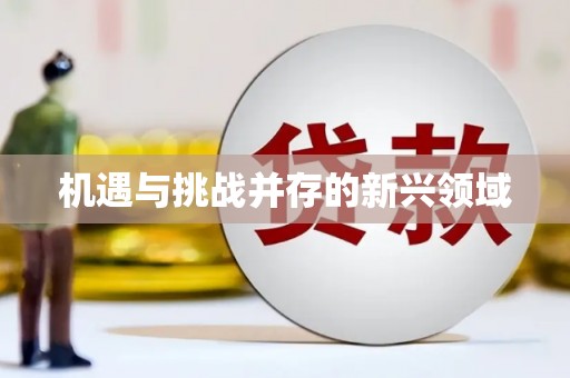 南浔机遇与挑战并存的新兴领域