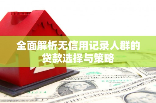 南浔全面解析无信用记录人群的贷款选择与策略