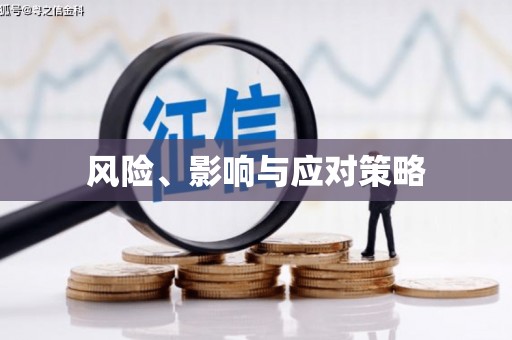 南浔风险、影响与应对策略