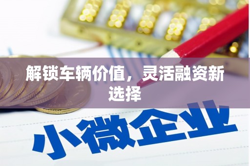 南浔解锁车辆价值，灵活融资新选择