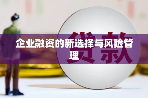 南浔企业融资的新选择与风险管理