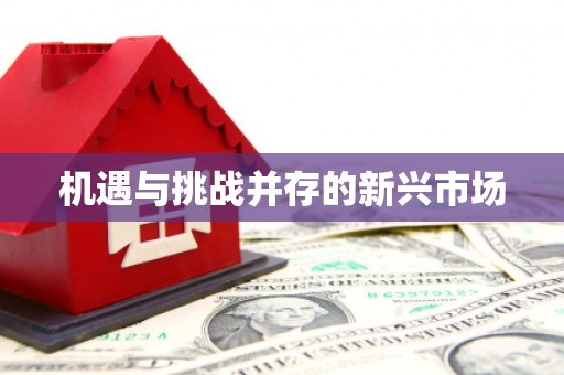 南浔机遇与挑战并存的新兴市场
