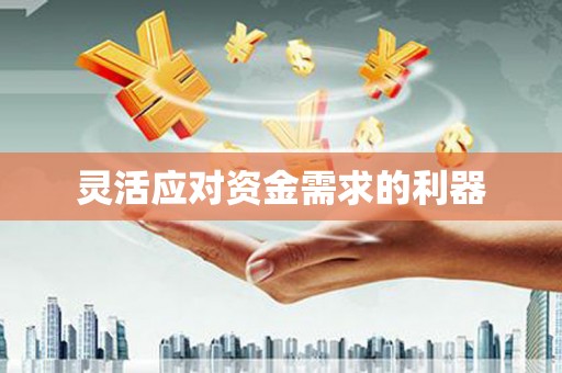 南浔灵活应对资金需求的利器